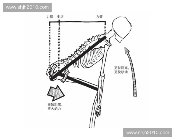 硬拉技术解析：提高力量与安全性并重的训练方法详解